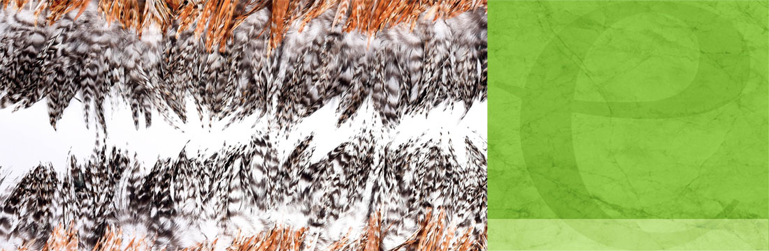 Veren-Franje Veren-Franje